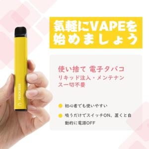 電子タバコ 使い捨て VAPE ブレンドMIX...の詳細画像5