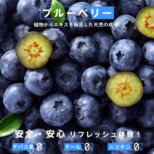 電子タバコ VAPE 使い捨て ストロングメン...の詳細画像2