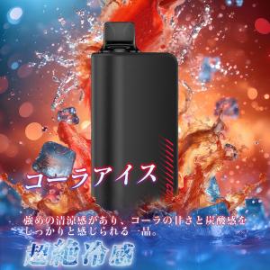 電子タバコ 使い捨て VAPE ブラックミント...の詳細画像2
