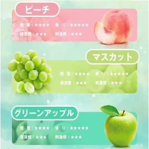 電子タバコ 使い捨て VAPE メンソール 2...の詳細画像2