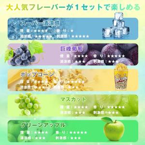 電子タバコ 使い捨て VAPE ブルーベリー ...の詳細画像1