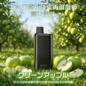 電子タバコ 使い捨て 爆煙 ベイプ 持ち運びシ...の詳細画像2