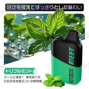 電子タバコ 使い捨て VAPE ミント 180...の詳細画像1