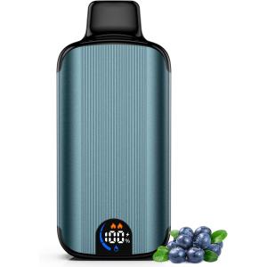 電子タバコ 使い捨て VAPE ブルーベリー 1...の商品画像