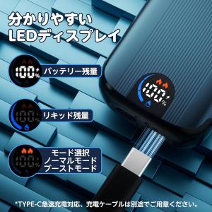 電子タバコ 使い捨て VAPE ブルーベリー ...の詳細画像5