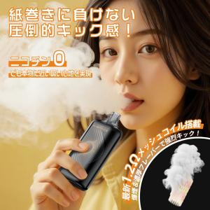電子タバコ 使い捨て ミントアイス 大容量 3...の詳細画像5