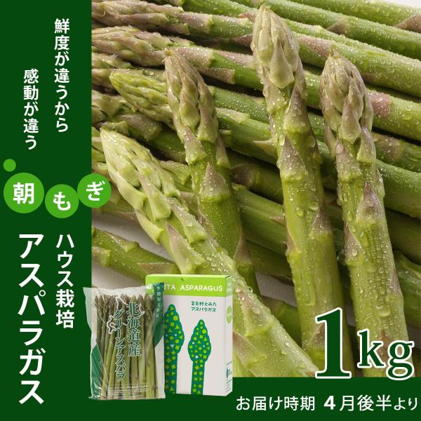 富良野産 朝採りアスパラガス【ハウス栽培】 1kg　L〜2Lサイズ