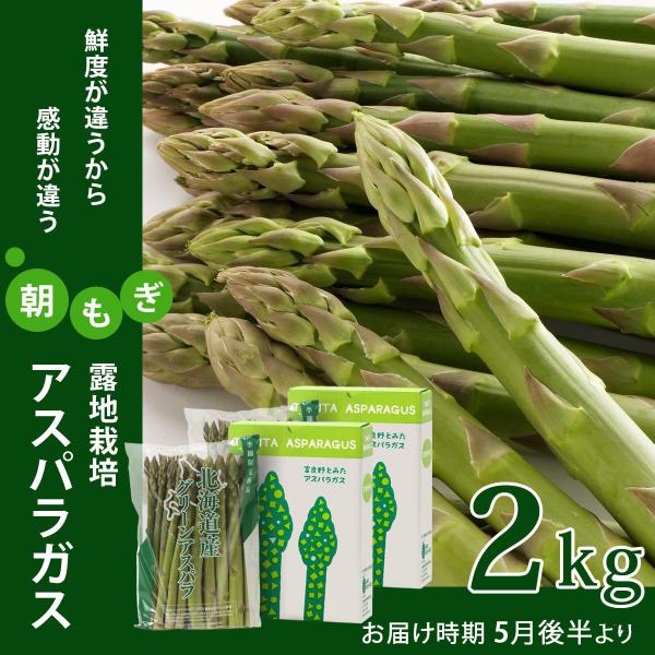 アスパラ 北海道 富良野 美瑛産 朝採り グリーン アスパラガス 露地栽培 2kg M〜2Lサイズ ...