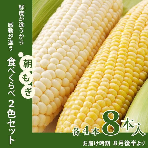 北海道 富良野産 朝採りとうもろこし 食べくらべ２色セット 各4本(８本)
