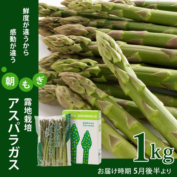 富良野・美瑛産 朝採りアスパラガス【露地栽培】 1kg　M〜2Lサイズ　5月後半より発送開始