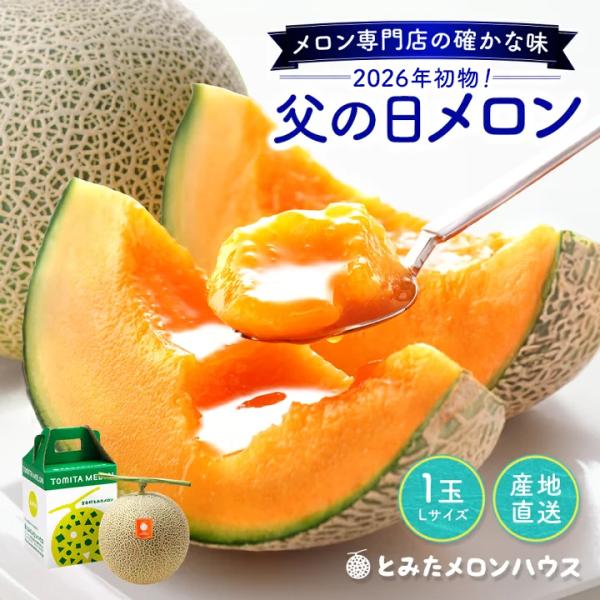 父の日 メロン ギフト 富良野メロン 1玉 約1.6kg Lサイズ めろん 赤肉 プレゼント 御中元...