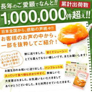 父の日 ギフト 富良野メロン 2玉約3.2kg...の詳細画像3