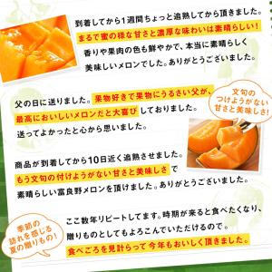 父の日 ギフト 富良野メロン 2玉約3.2kg...の詳細画像4