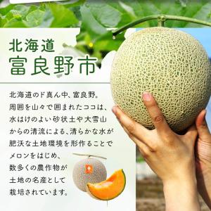 父の日 ギフト 富良野メロン 2玉約3.2kg...の詳細画像5