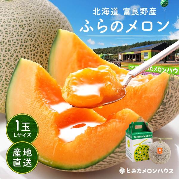 お中元 メロン 北海道産 富良野 赤肉 1玉 約1.6kg Lサイズ 秀品 贈答用 ふらの めろん ...