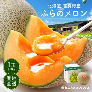 お中元 メロン 北海道産 富良野 赤肉 1玉 特大XLサイズ 約2.0kg お中元 メロン 北海道産 富良野 赤肉 1玉 特大XLサイズ 約2.0kg