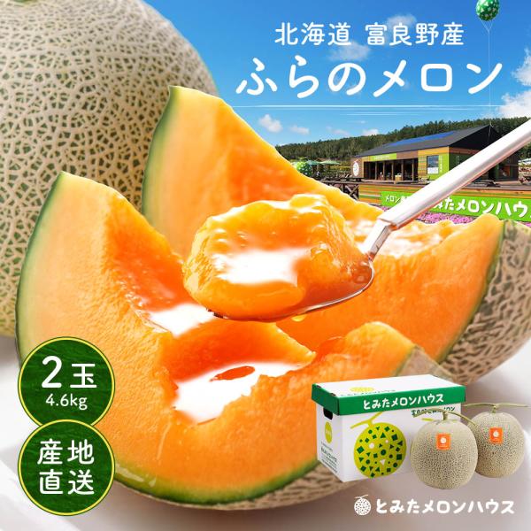 お中元 メロン 北海道産 富良野 赤肉 2玉詰 超特大サイズ 合計約4.6kg 秀品 贈答用 ふらの...