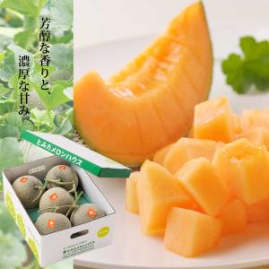 メロン 北海道 富良野メロン とみた赤肉メロン5玉8kg大箱　大玉Lサイズ(1玉約1.6kg〜) 送料無料 お取り寄せグルメ フルーツ お中元 御中元 とみたメロンハウス