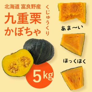 富良野産 かぼちゃ九重栗【5kg】
