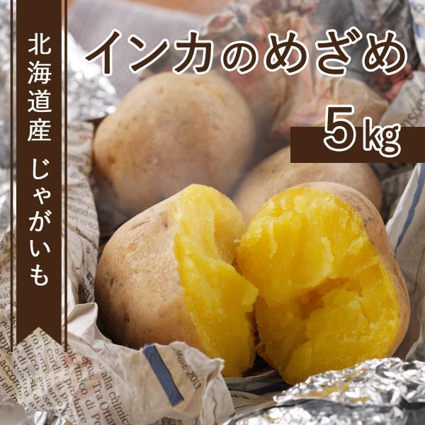 北海道 幕別町産 インカのめざめ【5kg】