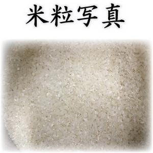 お米 米 10kg 白米 送料別 最短 富田商...の詳細画像3