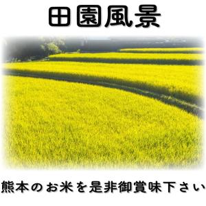 お米 米 5kg 白米 送料別 最短 一等二等...の詳細画像3