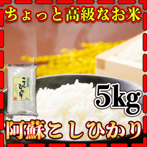 お米 米 5kg 白米 送料別 最短 熊本県 阿蘇産 こしひかり 新米 令和7年産 コシヒカリ 5k...