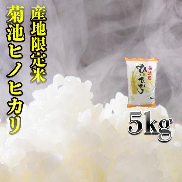 お米 5kg 白米 熊本県 菊池産 ひのひかり あすつく 令和5年産 5kg1個 産地限定米 くまも...