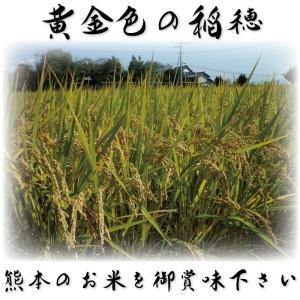 お米 米 5kg 白米 送料別 最短 熊本県産...の詳細画像3