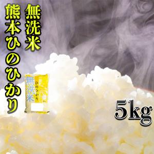 お米 米 5kg 白米 無洗米 熊本県産 ひのひかり あすつく 令和5年産 ヒノヒカリ 5kg1個 くまもとのお米 富田商店 とみた商店｜tomitasyoten