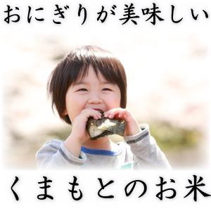 お米 米 30kg 白米 送料別 最短 富田商...の詳細画像5