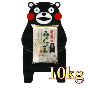 お米 米 10kg 白米 熊本県産 森のくまさん あすつく 令和5年産 5kg2個 くまモン くまもとのお米 富田商店 とみた商店