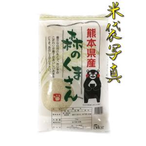 お米 米 10kg 白米 送料別 最短 熊本県...の詳細画像1