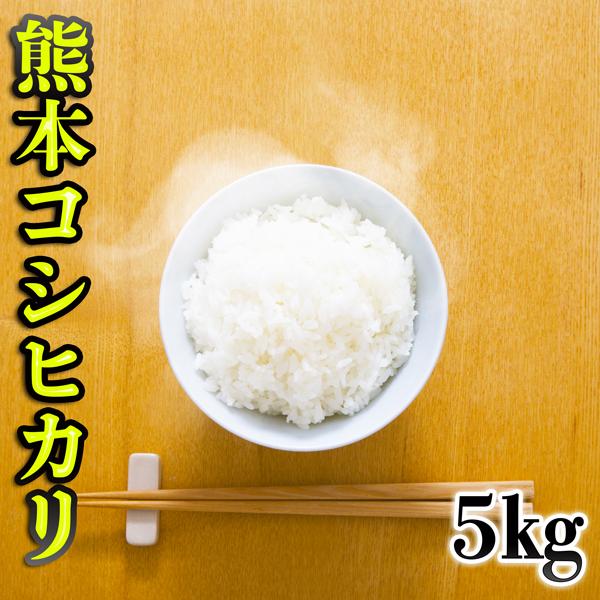 お米 米 5kg 白米 熊本県産 こしひかり 令和5年産 コシヒカリ 5kg1個 くまもとのお米 富...