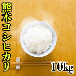 【みじゅ本日限定ラスト1点】 愛知県産　お米　愛知のかおり　白米　10kg みじゅ様専用本日限定ラスト1点】 愛知県産 お米 愛知のかおり