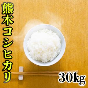 お米 米 30kg 白米 熊本県産 こしひかり あすつく 令和5年産 コシヒカリ 5kg6個 くまもとのお米 富田商店 とみた商店｜tomitasyoten