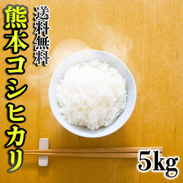 お米 米 5kg 白米 送料無料 最短 熊本県産 こしひかり 新米 令和7年産 コシヒカリ 5kg1...