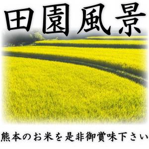 お米 米 10kg 白米 送料無料 最短 富田...の詳細画像3