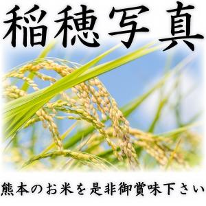 お米 米 10kg 白米 送料無料 最短 富田...の詳細画像4