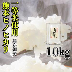 お米 米 10kg 白米 送料無料 一等米使用 熊本県産 ひのひかり 令和5年産 ヒノヒカリ 5kg2個 くまもとのお米 富田商店 とみた商店｜tomitasyoten