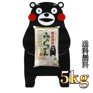 お米 米 5kg 白米 送料無料 熊本県産 森のくまさん あすつく 令和5年産 5kg1個 くまモン...