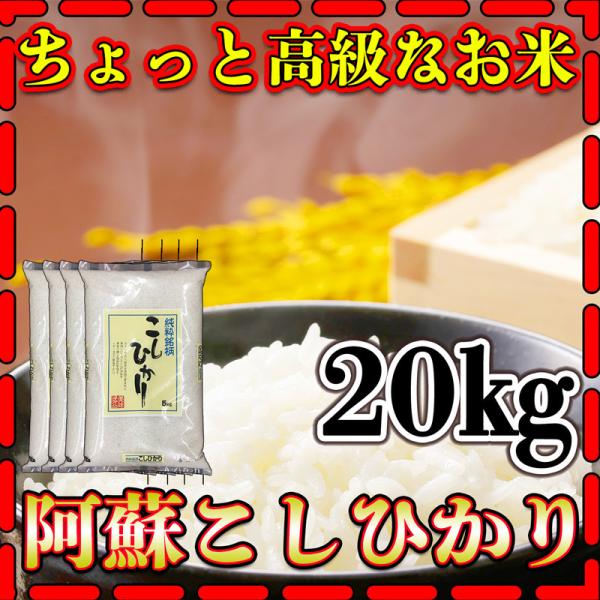 お米 米 20kg 白米 熊本県 阿蘇産 こしひかり 令和5年産 コシヒカリ 5kg4個 くまもとの...