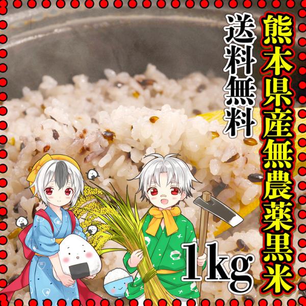 お米 米 1kg 玄米 送料無料 熊本県産 黒米 無農薬 あすつく 令和5年産 古代米 くまもとのお...