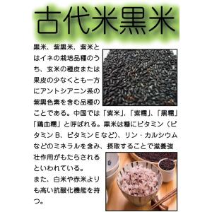 お米 米 1kg 玄米 送料無料 最短 熊本県...の詳細画像3