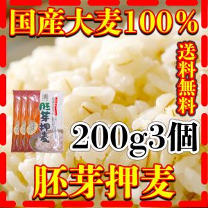 大麦 200g3個 国産 胚芽押麦 大麦100％ 健康 西田精麦 富田商店