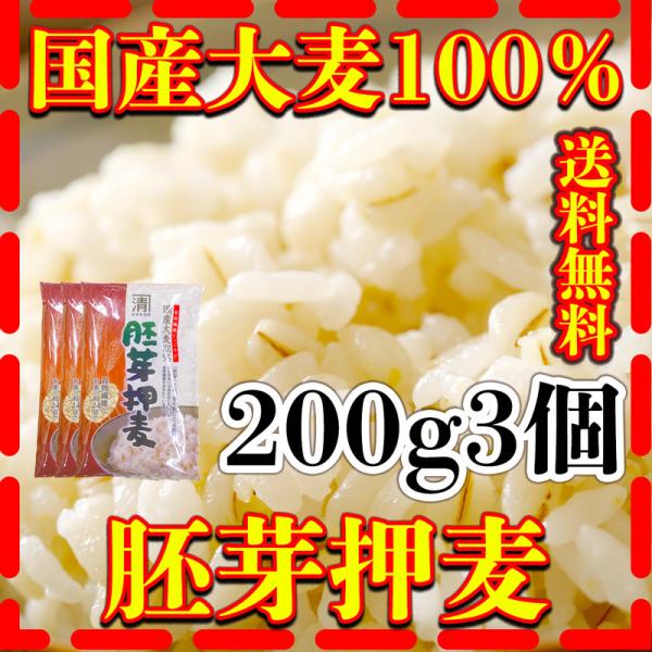 大麦 200g3個 国産 胚芽押麦 大麦100％ 健康 西田精麦 富田商店 とみた商店