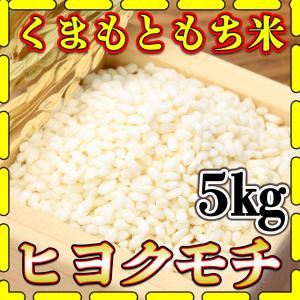 お米 米 5kg もち白米 熊本県産 ヒヨクモチ あすつく 令和5年産 5kg1個 くまもとのお米 富田商店 とみた商店｜くまもとのお米販売店富田商店