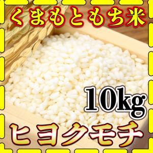 新米 もち米 令和7年産 国内産 20kg 10kg×2袋 餅米 白米 「令和7年産