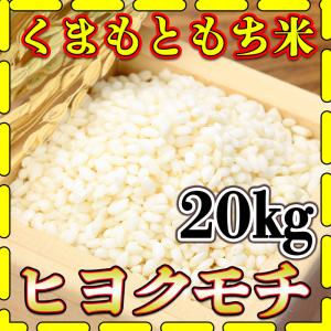 お米 米 20kg もち白米 熊本県産 ヒヨクモチ あすつく 令和5年産 5kg4個 くまもとのお米  富田商店 とみた商店