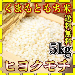 お米 米 5kg もち白米 送料無料 熊本県産 ヒヨクモチ あすつく 令和5年産 5kg1個 くまもとのお米 富田商店 とみた商店